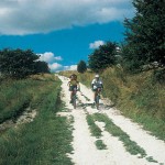 Cyclists On Ridgeway