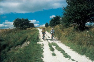 Cyclists On Ridgeway