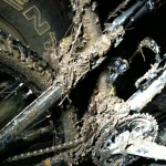 After a winter night ride