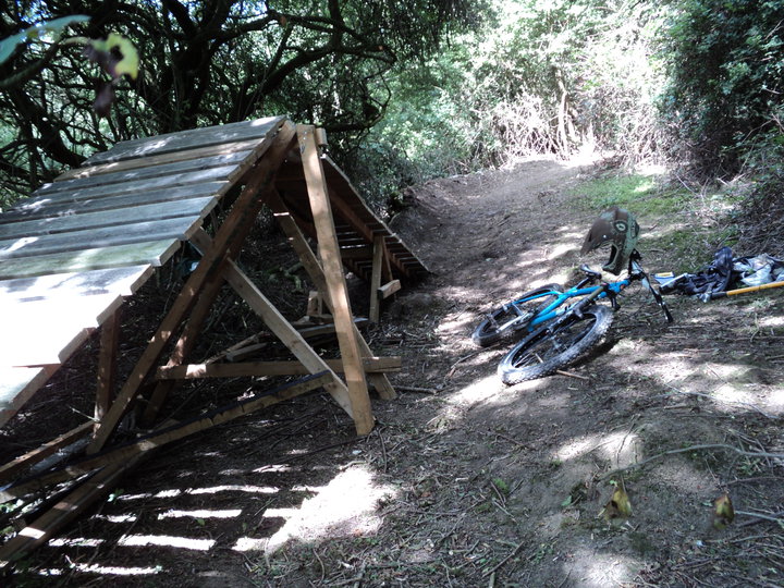 wooden ramp in woods