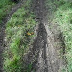 Muddy trail