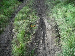 Muddy trail