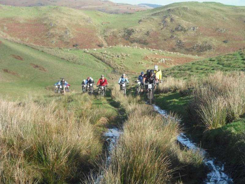 Mountain bike riders on a hill.