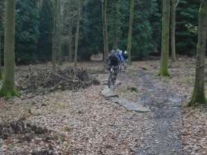 Bike riders on some slabs in the Forest of Dean.