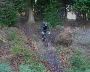 Riding down a ramp in the Forest of Dean.
