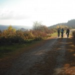 Autumnal view of 3 riders on a track in the Forest of Dean.
