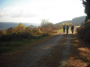 Autumnal view of 3 riders on a track in the Forest of Dean.