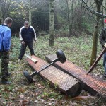 Two logs on ground.