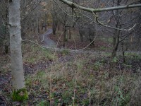 Some surfaced trail at Croft Woods in Swindon.