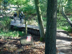 Follow the dog at Cannock Chase.