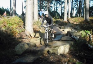 Rocks near start of Follow the dog trail at Cannock Chase.