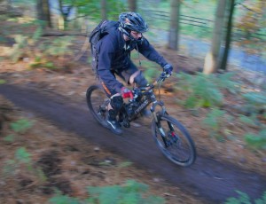 Start section of the Monkey Traila at Cannock Chase.