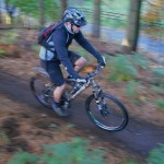 Start section of the Monkey Traila at Cannock Chase.