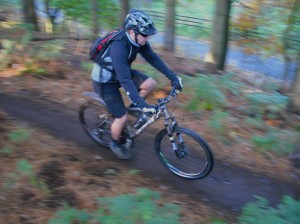 Start section of the Monkey Traila at Cannock Chase.