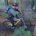 Start section of the Monkey Traila at Cannock Chase.