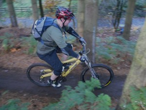 Start section of the Monkey Traila at Cannock Chase.