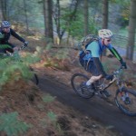 Start section of the Monkey Traila at Cannock Chase.