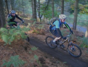 Start section of the Monkey Traila at Cannock Chase.