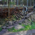 Rocks on The Monkey trail at Cannock Chase.