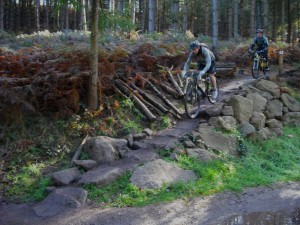 Rocks on The Monkey trail at Cannock Chase.