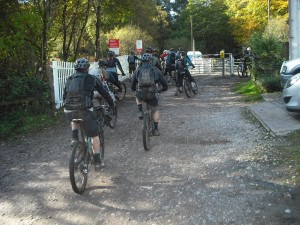 Railway crossing at Cannock Chase.