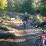 Final section of Follow the Dog trail at Cannock Chase.