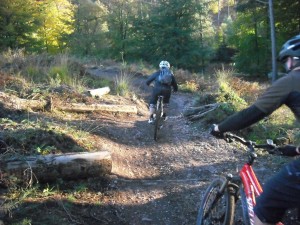 Final section of Follow the Dog trail at Cannock Chase.