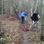 Group of people raking leaves off a trail.