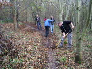 Group of people raking leaves off a trail.