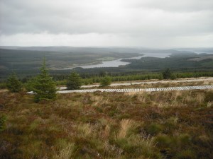 View of Kielder Water from hill.