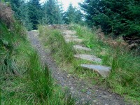 Set of rock steps.