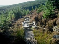 Rocks on trail