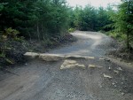 Rocks on mountain bike track.