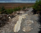 Rock spine at Hamsterley.