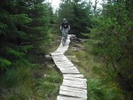 Raised wood planks.