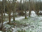 Snow and ice on mountain bike trail.