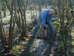 Trail builder digging up old trail.