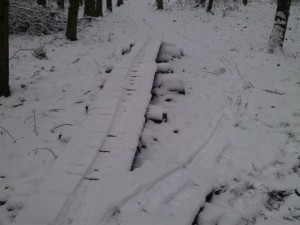 Snow on wood section at Croft Trails in Swindon.
