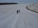 Three mountain bikes on a snowy field.