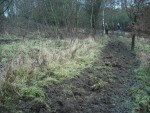 Path filled in with mud.