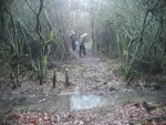 Two trail builders clearing branches.