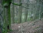 Cwm Carn trail, South Wales.