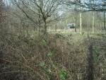 Land Rover in woods.