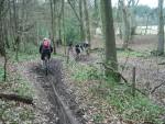 Mountain bikers in the Chilterns.