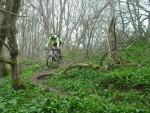 Mountain bike rider on steep single track.