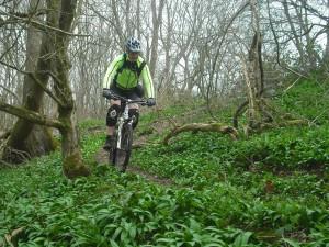 Mountain bike rider on steep single track.