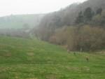 Woods and valley with mountain bikers.