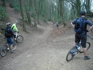 Rider near North Nibley.