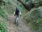 Mountain bike rider on steep track.