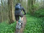 Cooper's Wood near Dursley.